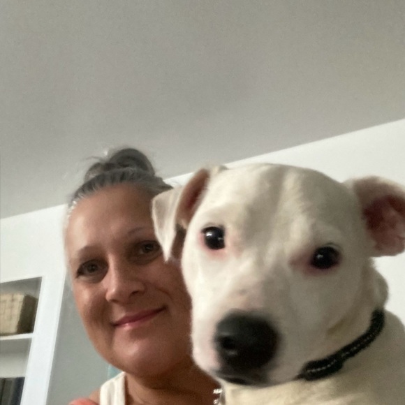 Meet your Posher, Roxanne - Picture 2 of 3